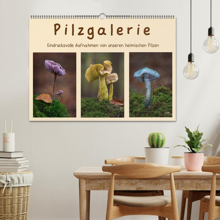Pilzgalerie - Eindrucksvolle Aufnahmen von unseren heimischen Pilzen (CALVENDO Wandkalender 2024)