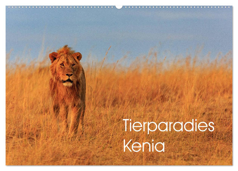 Paradis animalier Kenya (Calendrier mural CALVENDO 2024) 
