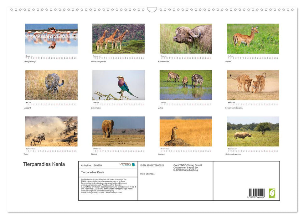 Tierparadies Kenia (CALVENDO Wandkalender 2024)