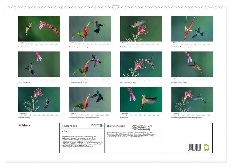 Kolibris - Flugkünstler im Regenwald (CALVENDO Wandkalender 2024)