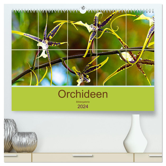 Orchideen Bildergalerie (CALVENDO Premium Wandkalender 2024)