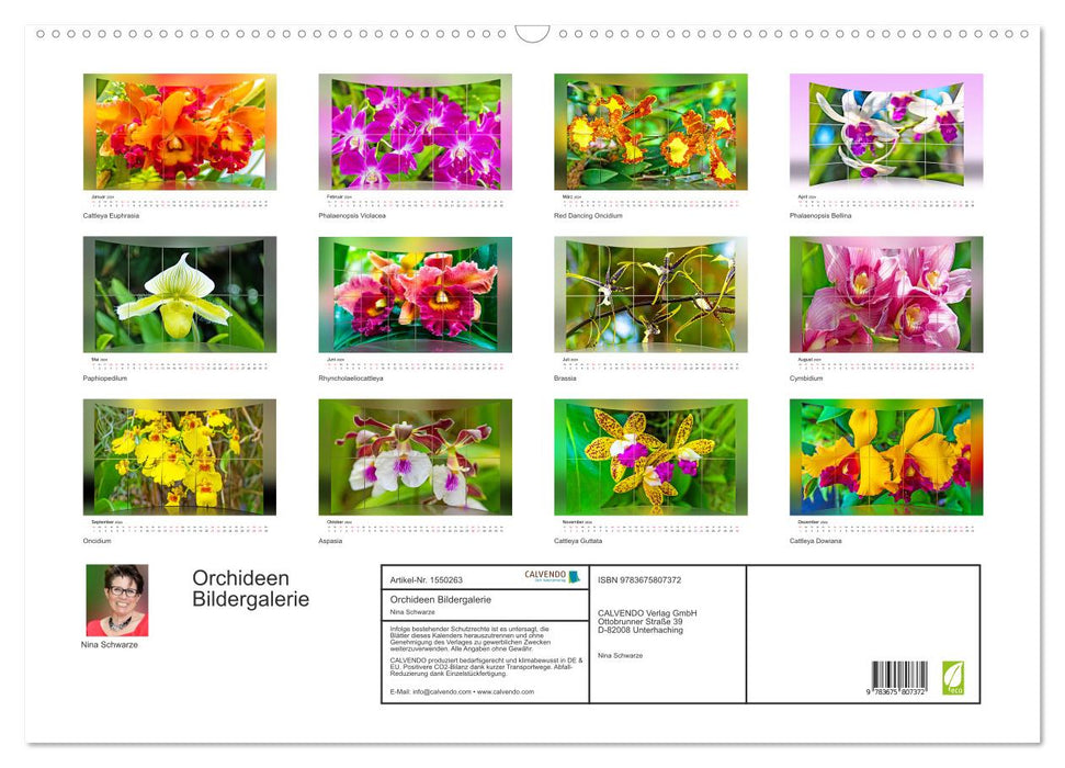 Orchideen Bildergalerie (CALVENDO Wandkalender 2024)