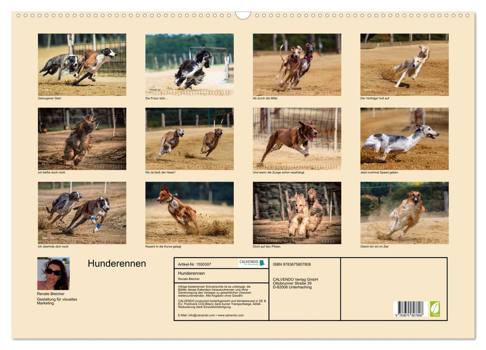 Hunderennen (CALVENDO Wandkalender 2024)