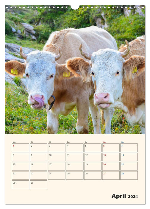 Alpsommer (CALVENDO Wandkalender 2024)