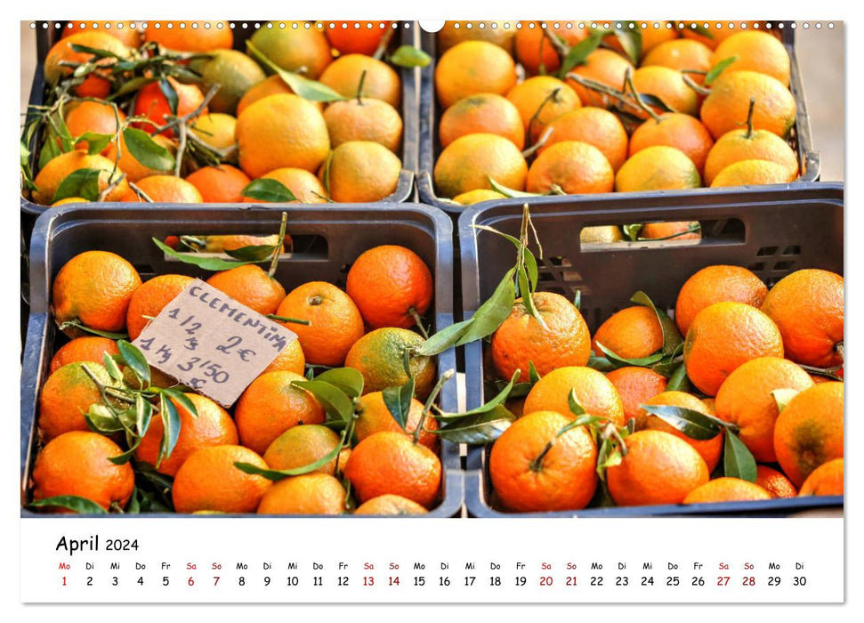 Majorque - Paradis en Méditerranée (Calendrier mural CALVENDO 2024) 