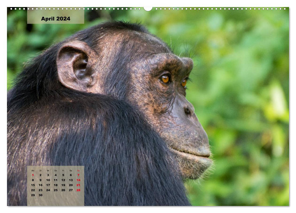 SPIRIT and SOUL (CALVENDO Premium Wandkalender 2024)