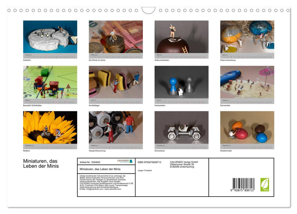 Miniaturen - Das Leben der Minis (CALVENDO Wandkalender 2024)