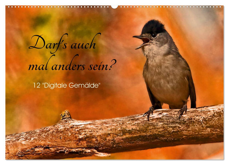 Darf's mal anders sein? (CALVENDO Wandkalender 2024)