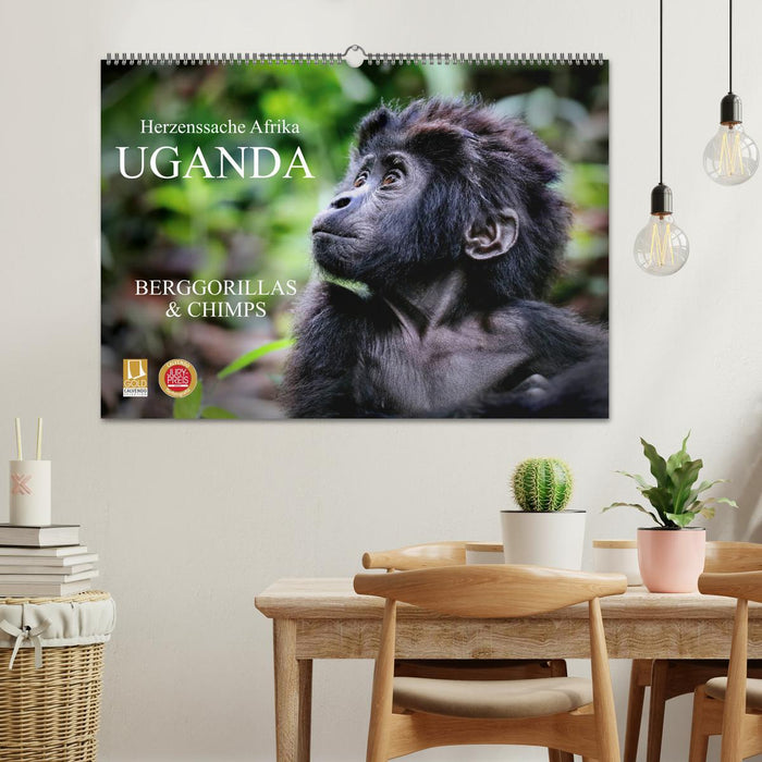 UGANDA - Berggorillas & Chimps (CALVENDO Wandkalender 2024)