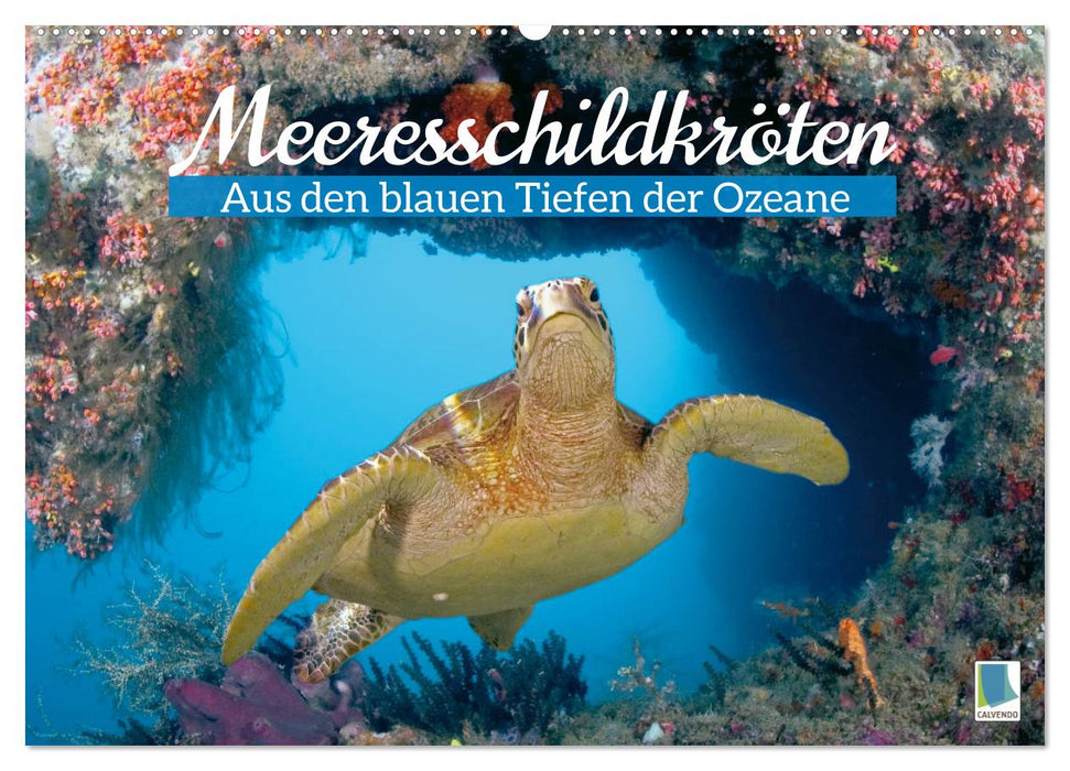 Meeresschildkröten: Aus den blauen Tiefen der Ozeane (CALVENDO Wandkalender 2024)