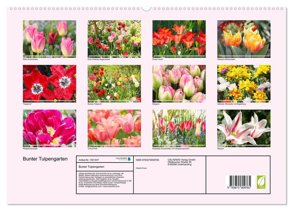 Jardin de tulipes coloré (Calvendo Premium Wall Calendar 2024) 