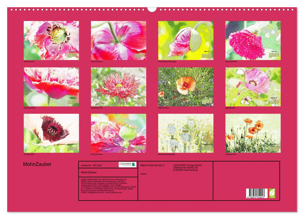 Poppy Magic (Calendrier mural CALVENDO 2024) 