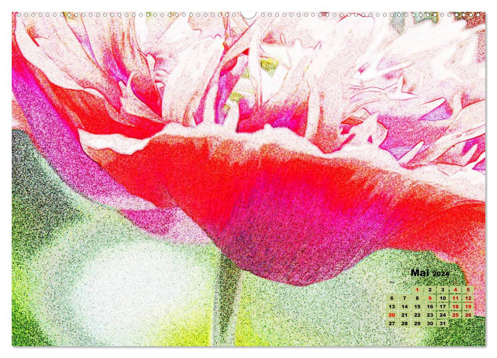 Poppy Magic (Calendrier mural CALVENDO 2024) 