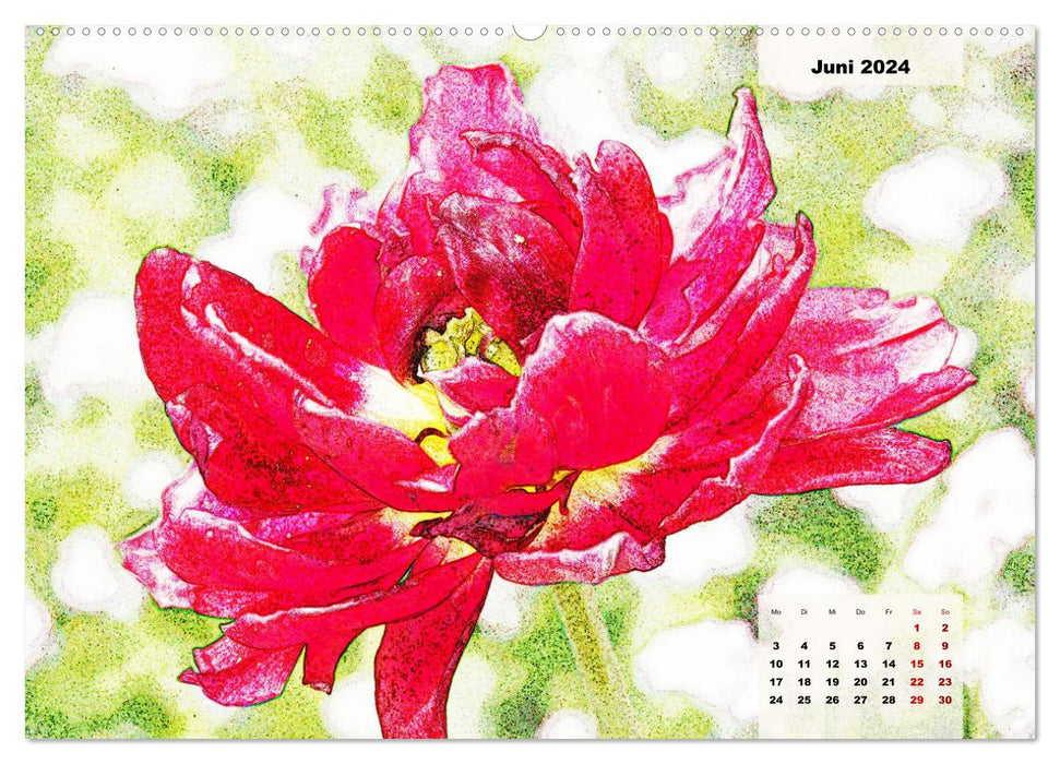 Blütenzeichnungen (CALVENDO Wandkalender 2024)