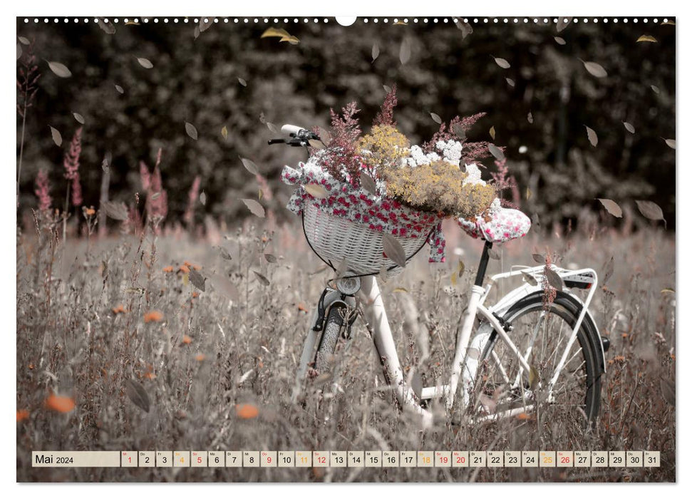 Fahrrad Alltag - Film Noir Style (CALVENDO Premium Wandkalender 2024)