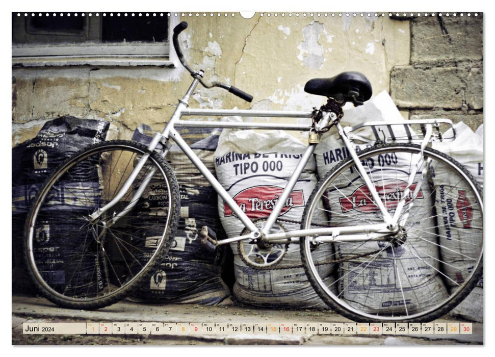 Fahrrad Alltag - Film Noir Style (CALVENDO Premium Wandkalender 2024)