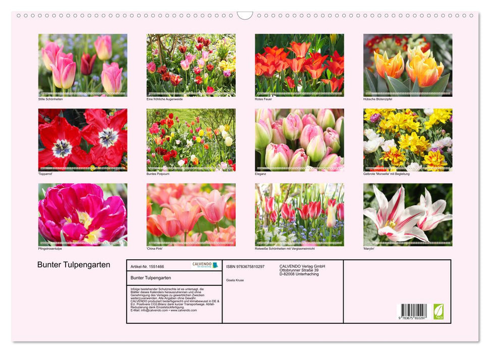 Jardin de tulipes coloré (Calendrier mural CALVENDO 2024) 