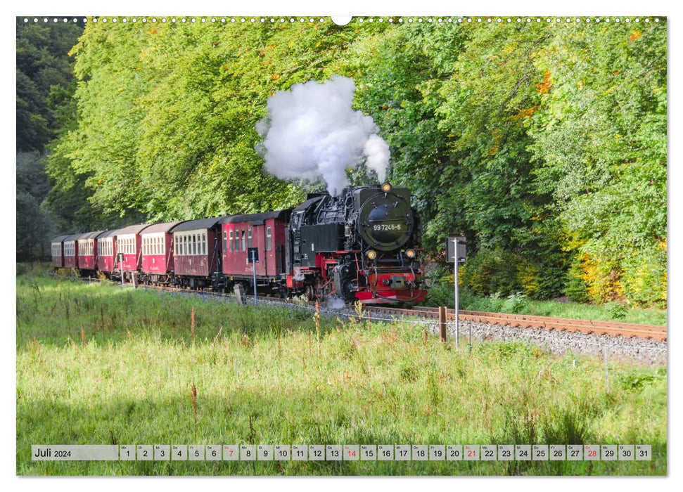 À toute vapeur à travers le Harz (Calendrier mural CALVENDO Premium 2024) 