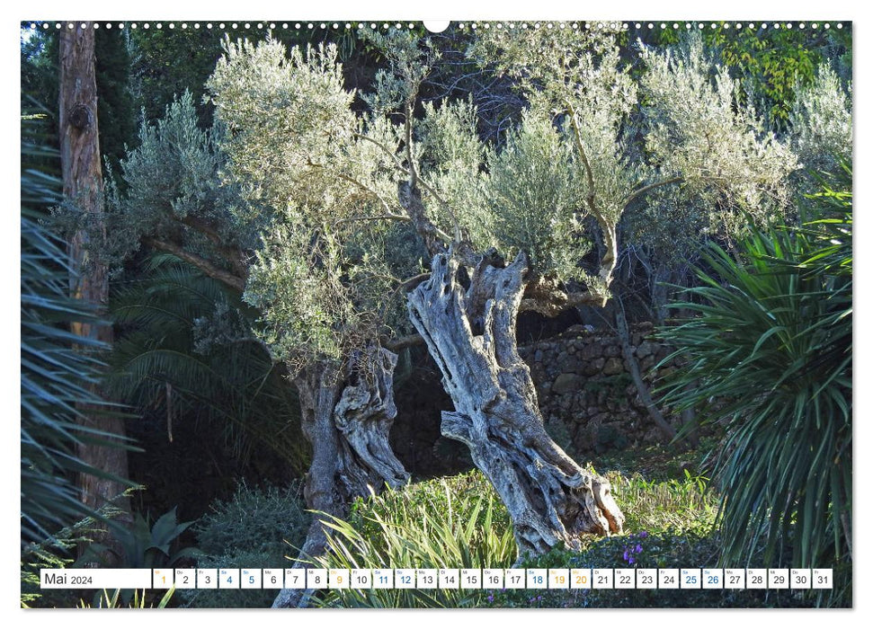 Serra de Tramuntana - Spektakuläre Bergwelt auf Mallorca (CALVENDO Wandkalender 2024)