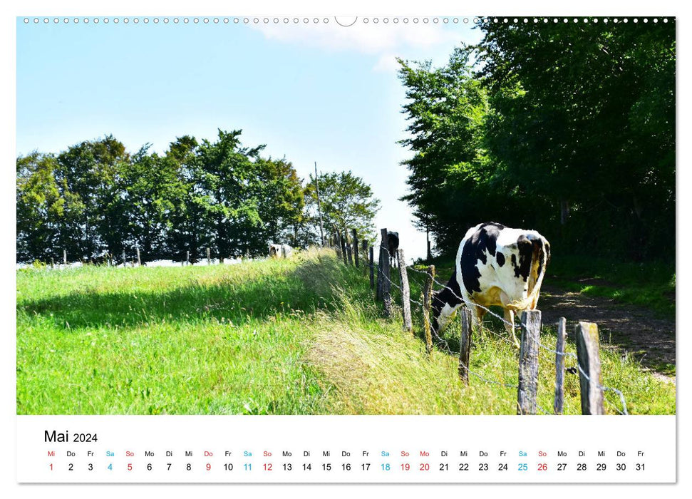 Huppenbroich in the Eifel (CALVENDO Premium Wall Calendar 2024) 