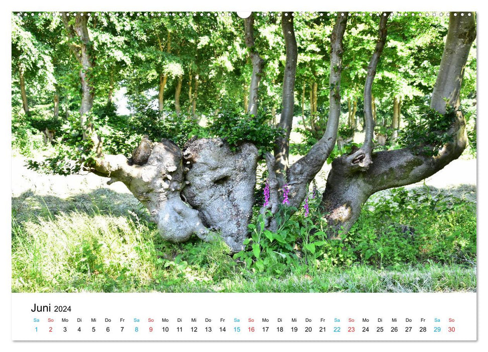 Huppenbroich in the Eifel (CALVENDO Premium Wall Calendar 2024) 