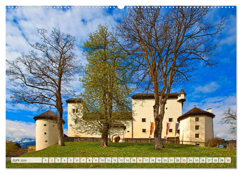 Greetings from Goldegg (CALVENDO wall calendar 2024) 