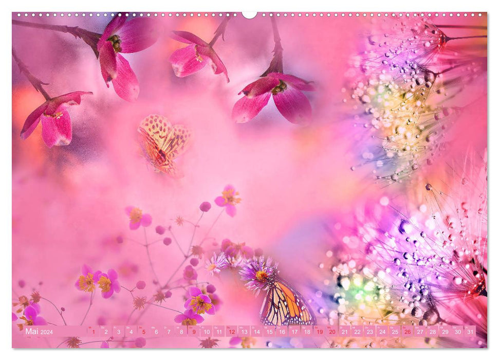 Meditation-Schmetterling (CALVENDO Premium Wandkalender 2024)