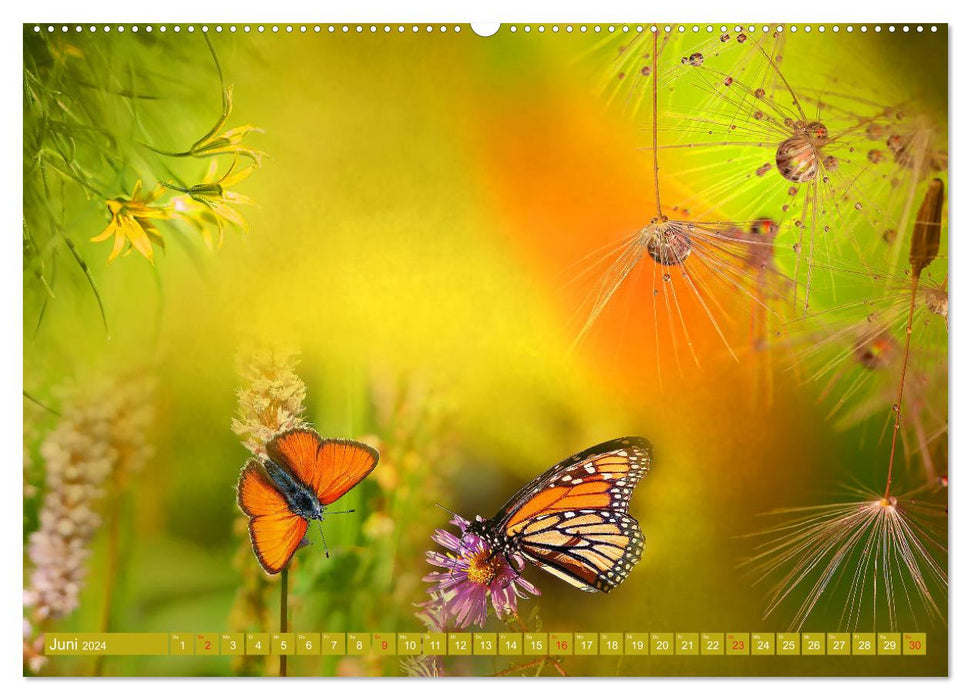 Meditation-Schmetterling (CALVENDO Premium Wandkalender 2024)