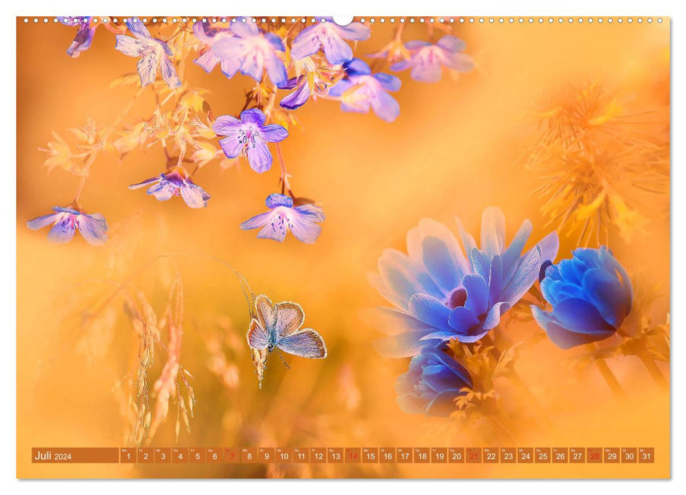 Meditation Butterfly (CALVENDO Premium Wall Calendar 2024) 