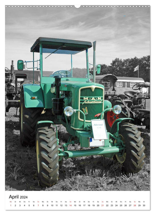Old tractors pure nostalgia (CALVENDO Premium Wall Calendar 2024) 