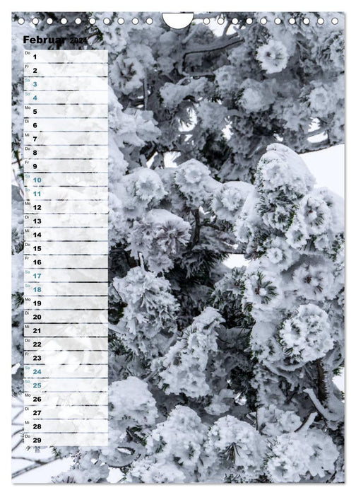 Ice landscapes (CALVENDO wall calendar 2024) 
