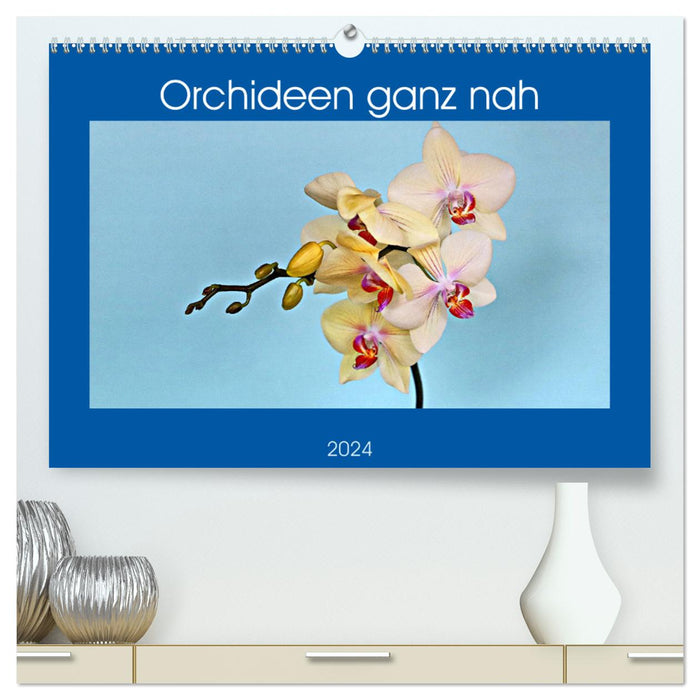 Orchideen ganz nah (CALVENDO Premium Wandkalender 2024)