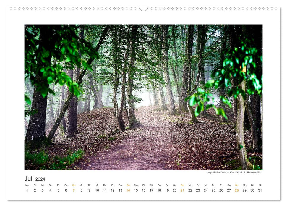 Landscapes of the Altmühltal (CALVENDO Premium Wall Calendar 2024) 