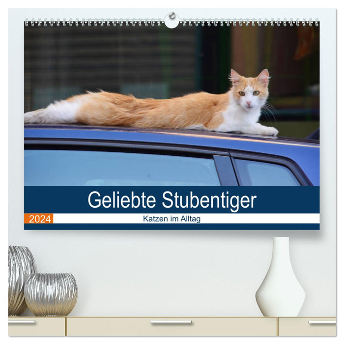 Geliebte Stubentiger - Katzen im Alltag (CALVENDO Premium Wandkalender 2024)