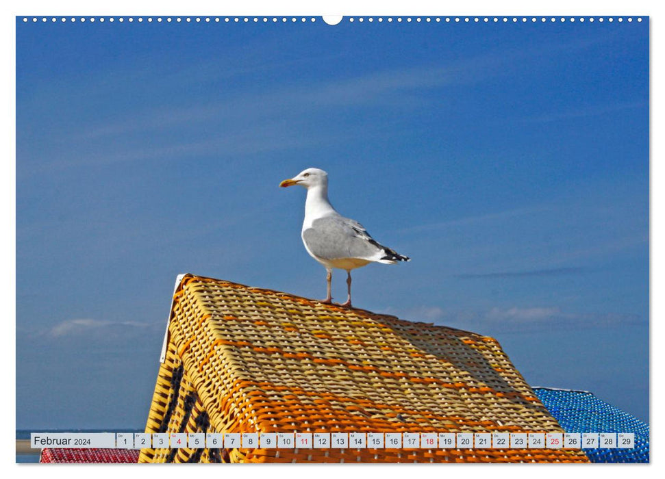 Langeoog - Pure Nature (CALVENDO Premium Wall Calendar 2024) 