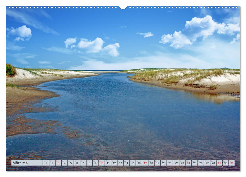 Langeoog - Pure Nature (CALVENDO Premium Wall Calendar 2024) 