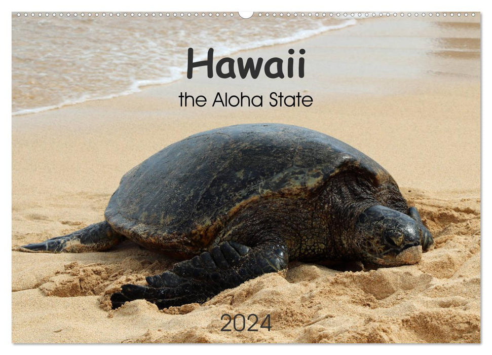 Hawaii the Aloha State (CALVENDO Wandkalender 2024)