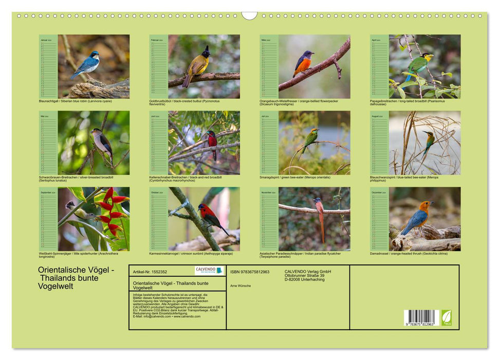 Oriental birds - Thailand's colorful bird world (CALVENDO wall calendar 2024) 