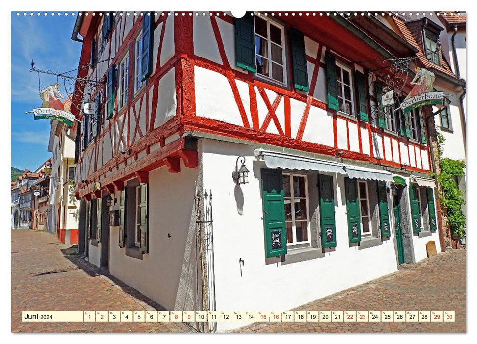 Greetings from Neustadt an der Weinstrasse (CALVENDO wall calendar 2024) 