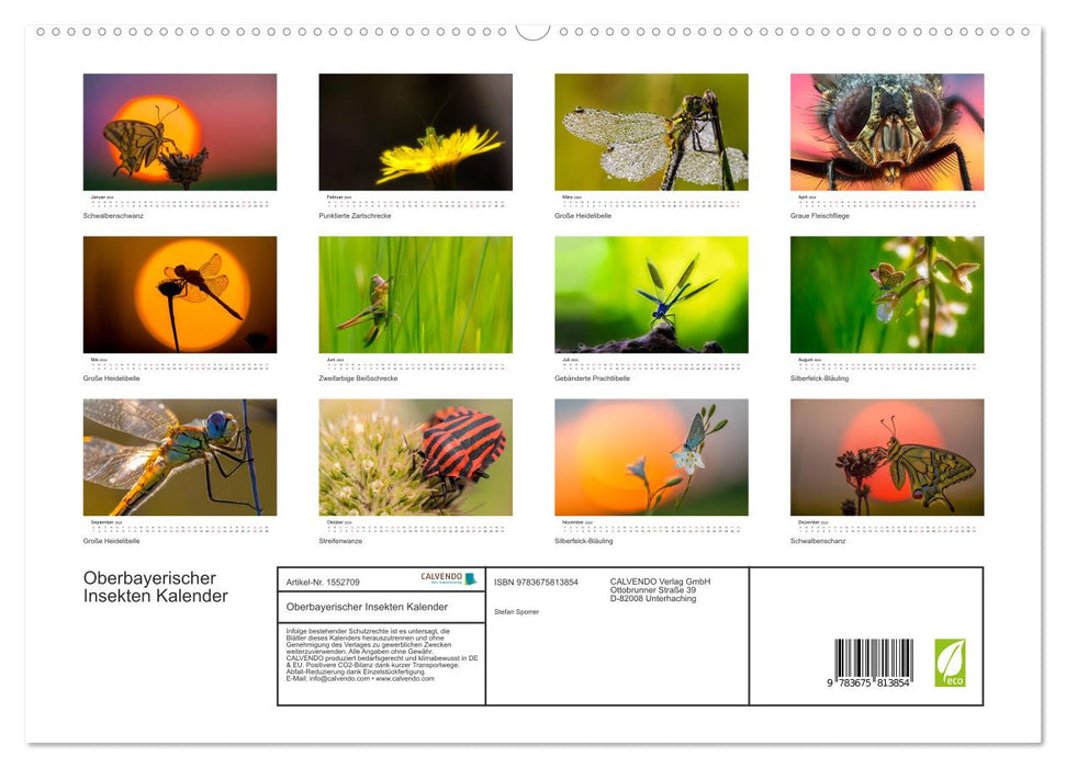Oberbayerischer Insekten Kalender (CALVENDO Premium Wandkalender 2024)