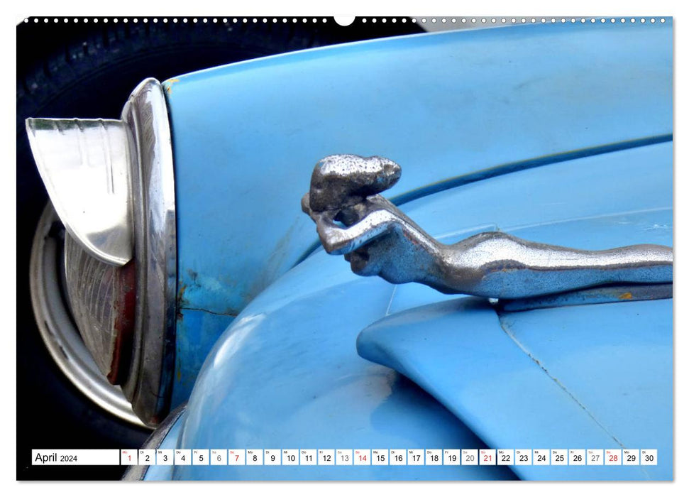 Sexy Cars in Cuba - Fascinating vintage cars in Havana (CALVENDO Premium Wall Calendar 2024) 
