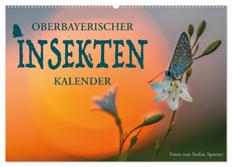 Upper Bavarian insect calendar (CALVENDO wall calendar 2024) 