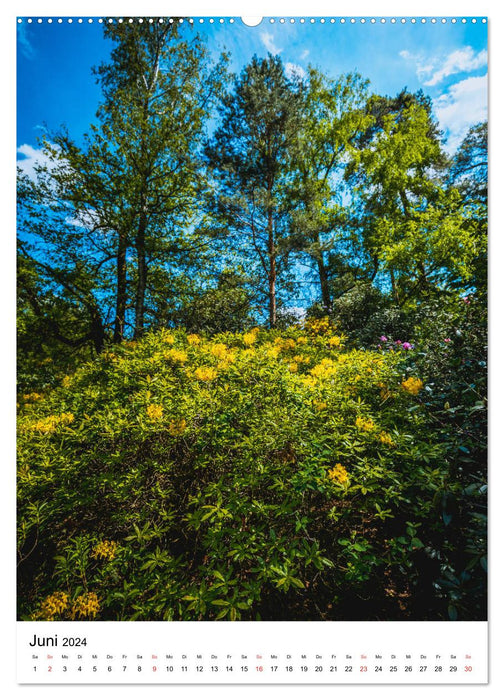 Rhododendron Park (CALVENDO Premium Wandkalender 2024)