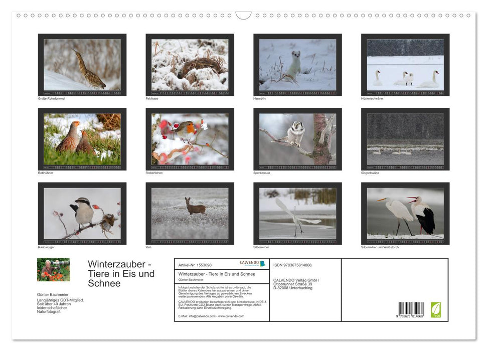Winterzauber - Tiere in Eis und Schnee (CALVENDO Wandkalender 2024)