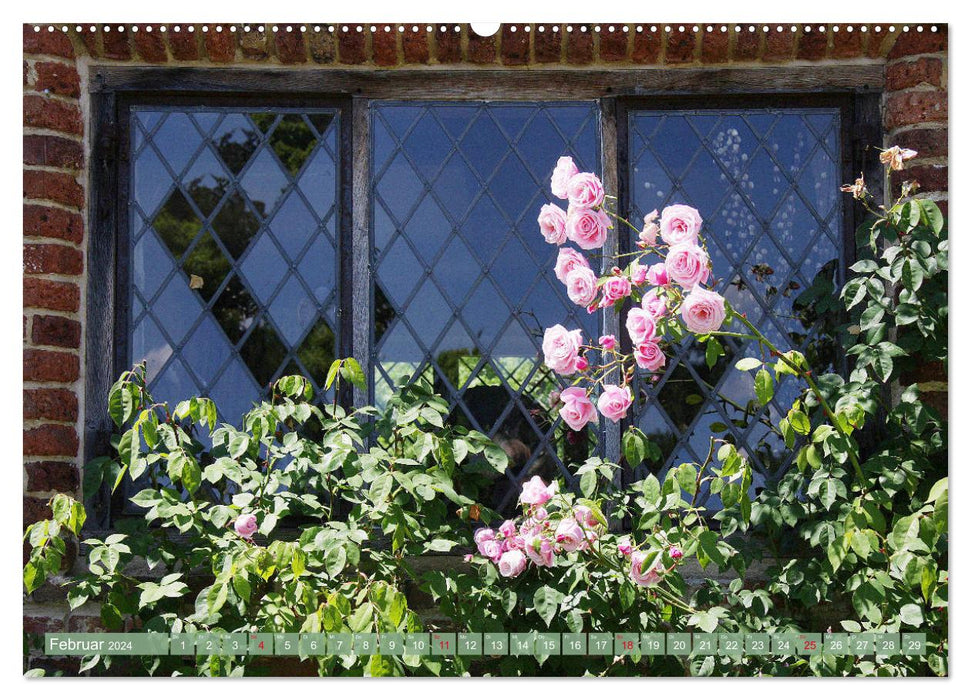 Romantic rose dreams (CALVENDO Premium wall calendar 2024) 