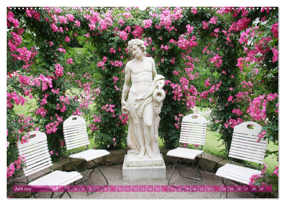 Romantic rose dreams (CALVENDO Premium wall calendar 2024) 