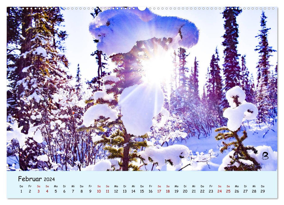 Entdecke den Yukon (CALVENDO Premium Wandkalender 2024)