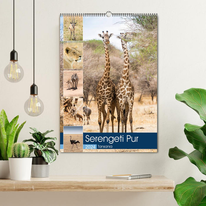 Serengeti Pur - Tansania (CALVENDO Wandkalender 2024)