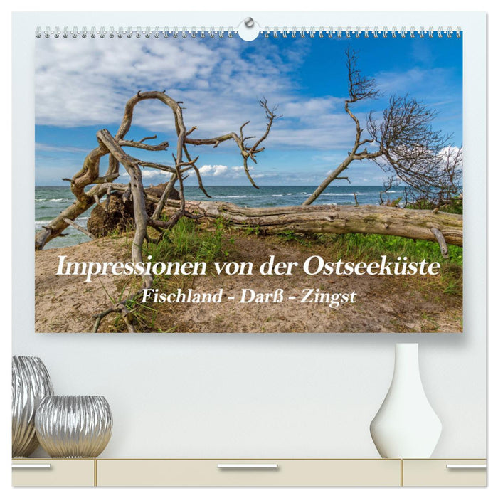 Impressionen von der Ostsee Fischland-Darß-Zingst (CALVENDO Premium Wandkalender 2024)
