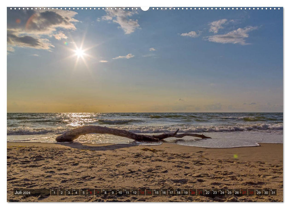 Impressionen von der Ostsee Fischland-Darß-Zingst (CALVENDO Premium Wandkalender 2024)